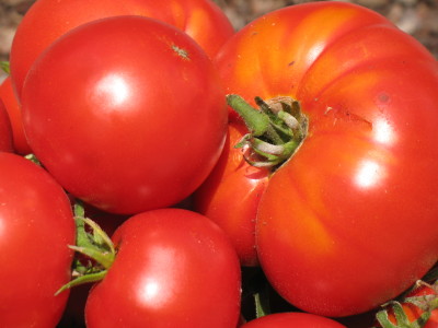 Come Fare Le Conserve Per L Inverno Pomodori Essiccati Guadagno Risparmiando